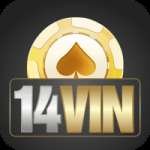 14vin VIP - Casino & Slots